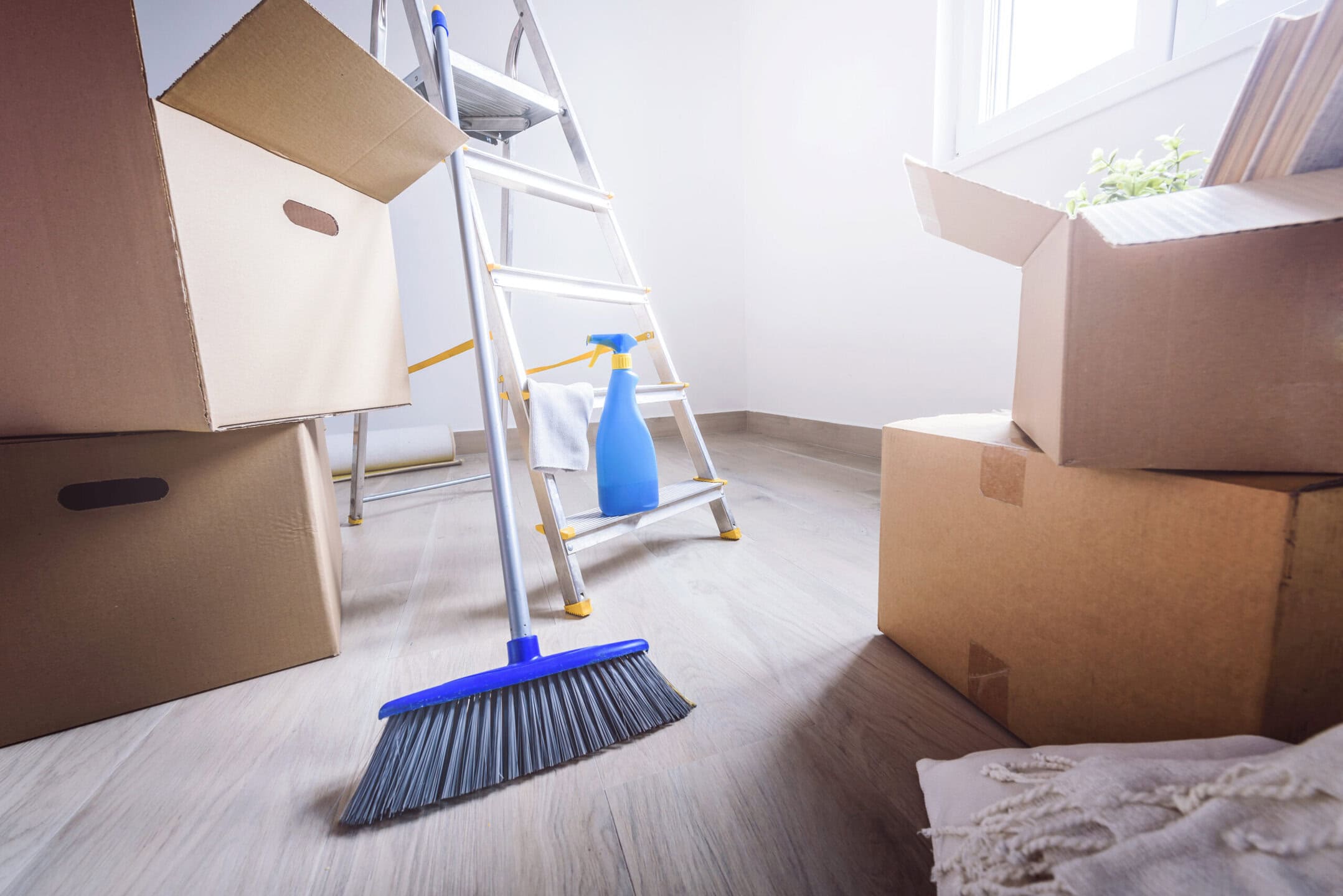 Move In and Move Out Cleaning