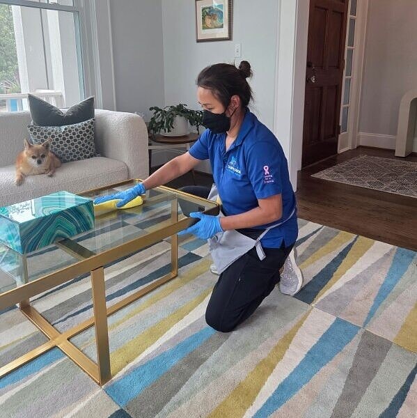 Cleaning people in living room with dog on couch