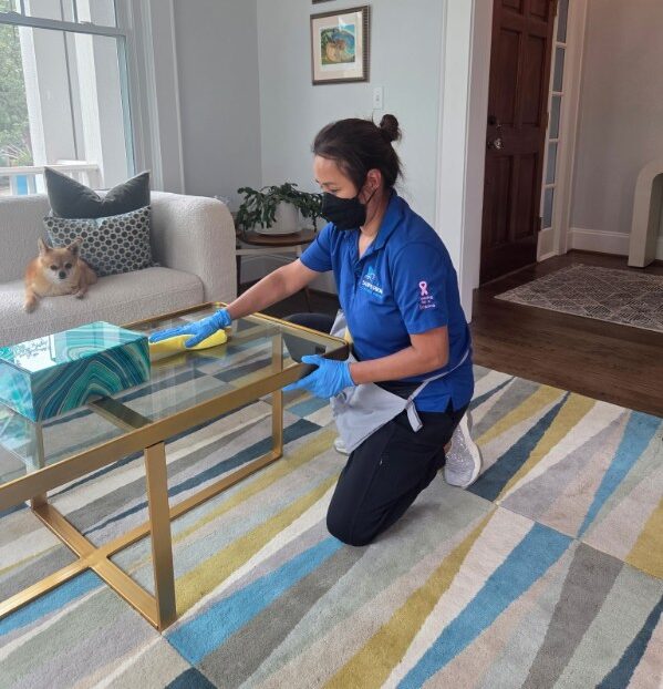 Cleaning people in living room with dog on couch